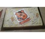 La torta per festeggiare i 20 anni del Collodi 96