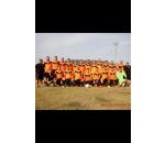 Il Collodi 96