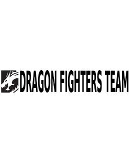 Dragon Fighters Team