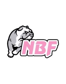 Nico Basket Femminile Nico Basket Femminile