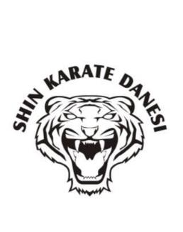 Shin Karate Danesi asd