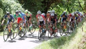 Team Franco Ballerini